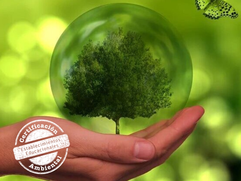 Salesiano Alto Hospicio obtiene Certificación Ambiental