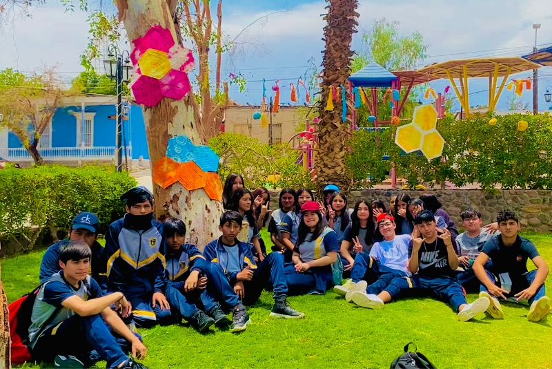 Proyecto Nacional Colorearte : Te&ntilde;ido Textil y Land Art en la Plaza de Matilla